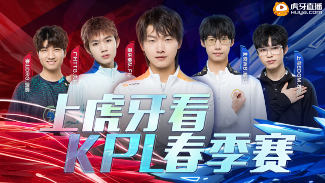 根基和无数 根基和无数